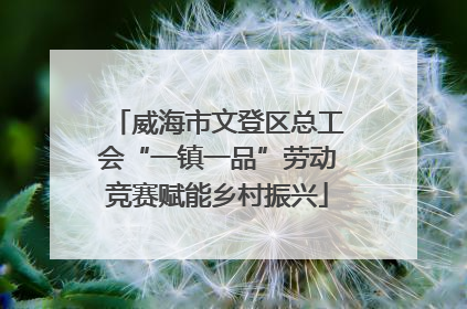 威海市文登区总工会“一镇一品”劳动竞赛赋能乡村振兴