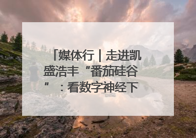 媒体行｜走进凯盛浩丰“番茄硅谷”：看数字神经下的精准农业