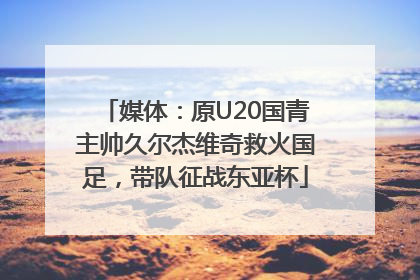 媒体：原U20国青主帅久尔杰维奇救火国足，带队征战东亚杯