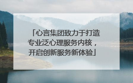 心言集团致力于打造专业泛心理服务内核，开启创新服务新体验
