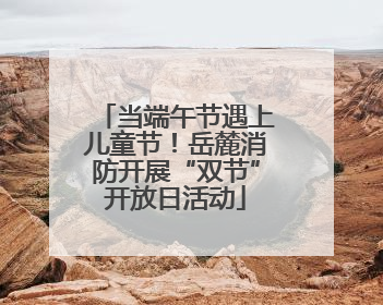 当端午节遇上儿童节！岳麓消防开展“双节”开放日活动