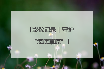 影像记录｜守护“海底草原”