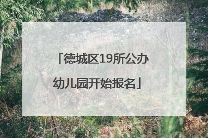 德城区19所公办幼儿园开始报名