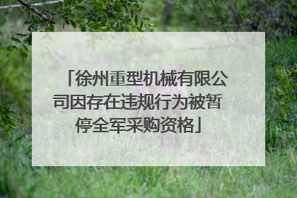 徐州重型机械有限公司因存在违规行为被暂停全军采购资格