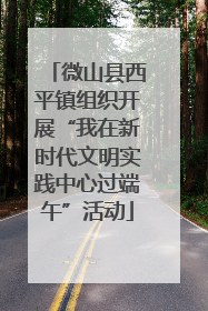 微山县西平镇组织开展“我在新时代文明实践中心过端午”活动