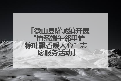 微山县驩城镇开展“情系端午邻里情 粽叶飘香暖人心”志愿服务活动