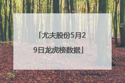尤夫股份5月29日龙虎榜数据