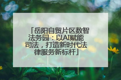岳阳自贸片区数智法务园：以AI赋能司法，打造新时代法律服务新标杆