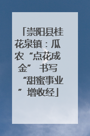 崇阳县桂花泉镇：瓜农“点花成金” 书写“甜蜜事业”增收经