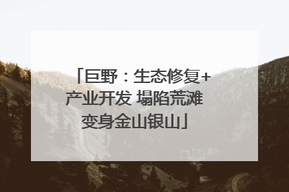 巨野：生态修复+产业开发 塌陷荒滩变身金山银山
