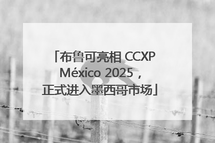 布鲁可亮相 CCXP México 2025，正式进入墨西哥市场