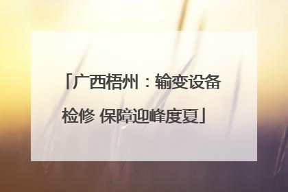 广西梧州：输变设备检修 保障迎峰度夏