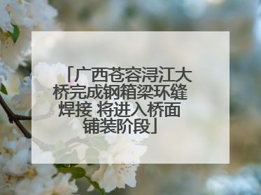广西苍容浔江大桥完成钢箱梁环缝焊接 将进入桥面铺装阶段