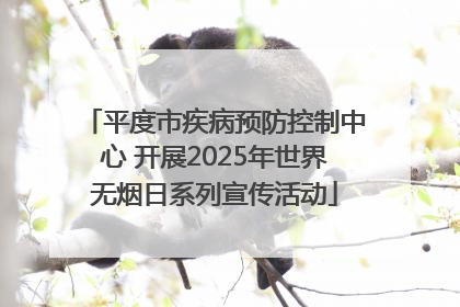 平度市疾病预防控制中心 开展2025年世界无烟日系列宣传活动