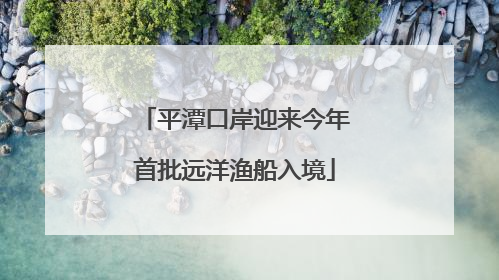 平潭口岸迎来今年首批远洋渔船入境