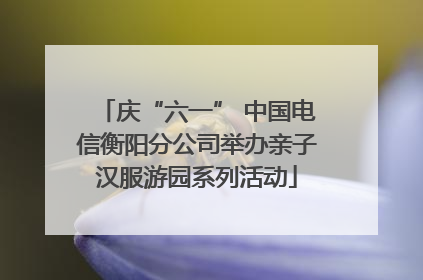 庆“六一” 中国电信衡阳分公司举办亲子汉服游园系列活动