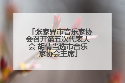 张家界市音乐家协会召开第五次代表大会 胡情当选市音乐家协会主席
