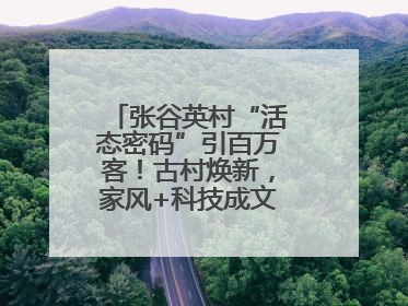 张谷英村“活态密码”引百万客！古村焕新，家风+科技成文旅融合新爆点