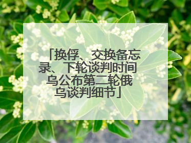 换俘、交换备忘录、下轮谈判时间 乌公布第二轮俄乌谈判细节