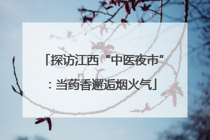 探访江西“中医夜市”：当药香邂逅烟火气