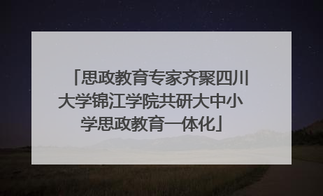 思政教育专家齐聚四川大学锦江学院共研大中小学思政教育一体化