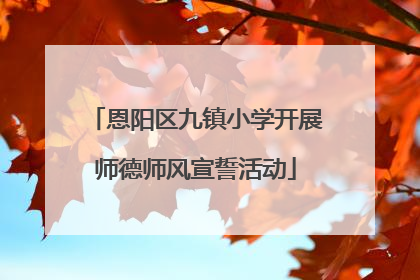 恩阳区九镇小学开展师德师风宣誓活动