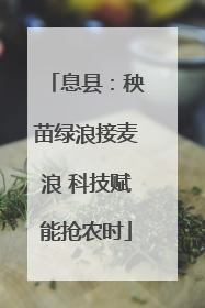 息县：秧苗绿浪接麦浪 科技赋能抢农时