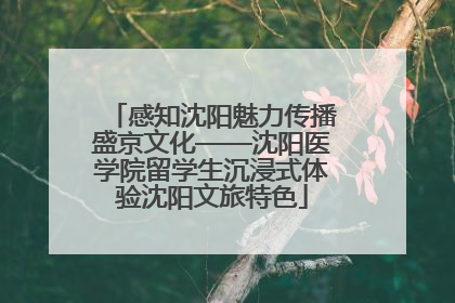感知沈阳魅力传播盛京文化——沈阳医学院留学生沉浸式体验沈阳文旅特色
