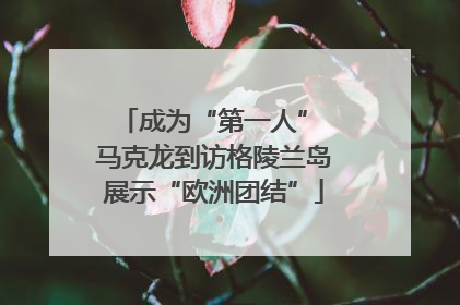 成为“第一人” 马克龙到访格陵兰岛展示“欧洲团结”