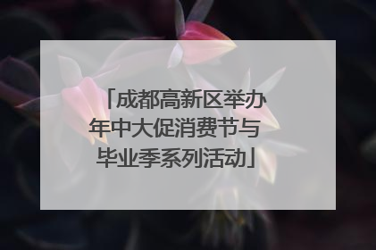 成都高新区举办年中大促消费节与毕业季系列活动