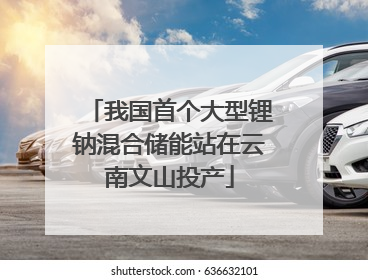 我国首个大型锂钠混合储能站在云南文山投产