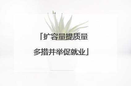 扩容量提质量 多措并举促就业