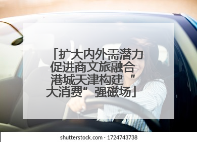 扩大内外需潜力 促进商文旅融合 港城天津构建“大消费”强磁场