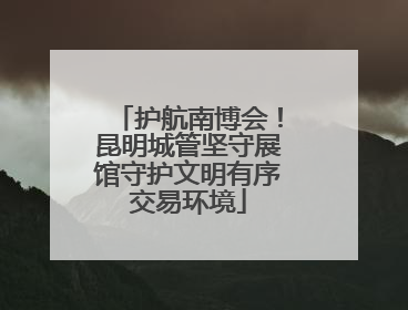 护航南博会！昆明城管坚守展馆守护文明有序交易环境