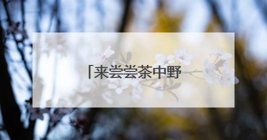 来尝尝茶中野味吧！庆元荒野茶推介会举行