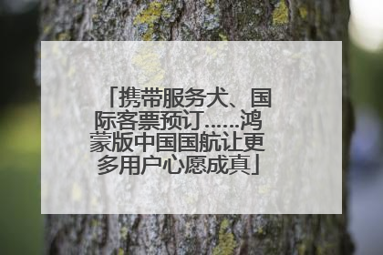 携带服务犬、国际客票预订……鸿蒙版中国国航让更多用户心愿成真