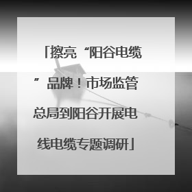擦亮“阳谷电缆”品牌！市场监管总局到阳谷开展电线电缆专题调研