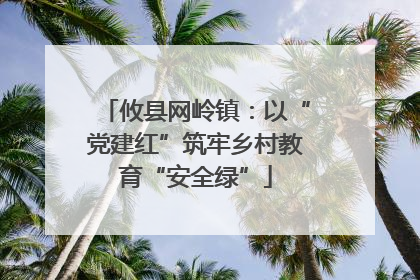 攸县网岭镇：以“党建红”筑牢乡村教育“安全绿”