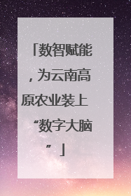 数智赋能，为云南高原农业装上“数字大脑”