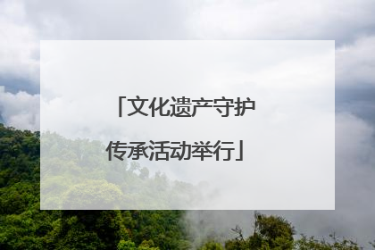 文化遗产守护传承活动举行