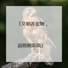 文明养宠物，蔚然树新风