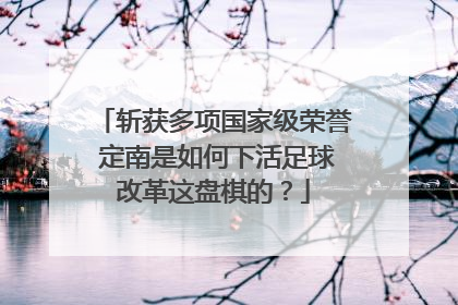 斩获多项国家级荣誉 定南是如何下活足球改革这盘棋的？
