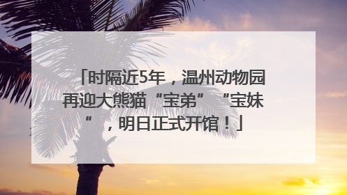 时隔近5年，温州动物园再迎大熊猫“宝弟”“宝妹”，明日正式开馆！