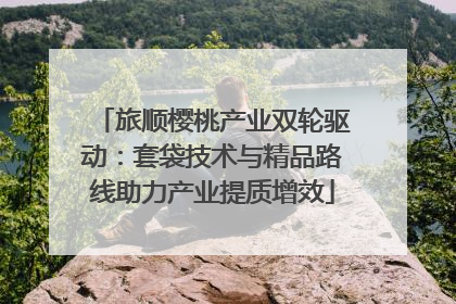 旅顺樱桃产业双轮驱动：套袋技术与精品路线助力产业提质增效