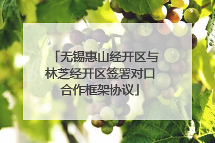 无锡惠山经开区与林芝经开区签署对口合作框架协议