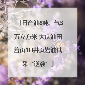 日产油8吨、气3万立方米 大庆油田营页1H井页岩油试采“逆袭”