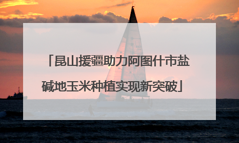 昆山援疆助力阿图什市盐碱地玉米种植实现新突破
