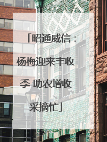 昭通威信：杨梅迎来丰收季 助农增收采摘忙