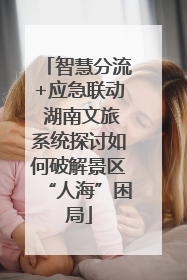 智慧分流+应急联动 湖南文旅系统探讨如何破解景区“人海”困局