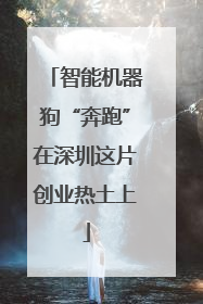 智能机器狗“奔跑”在深圳这片创业热土上